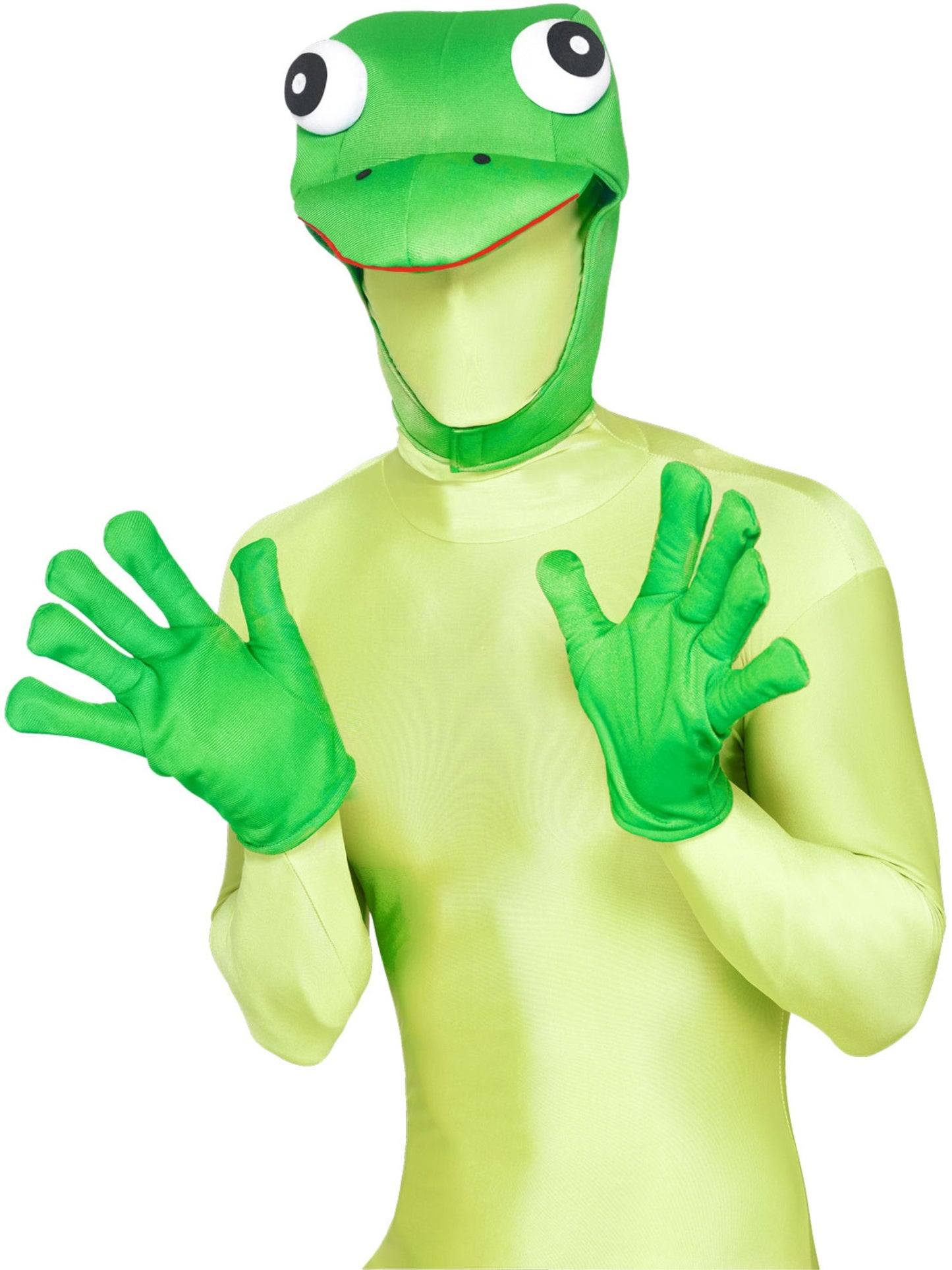 Frog Kit, Green Wholesale