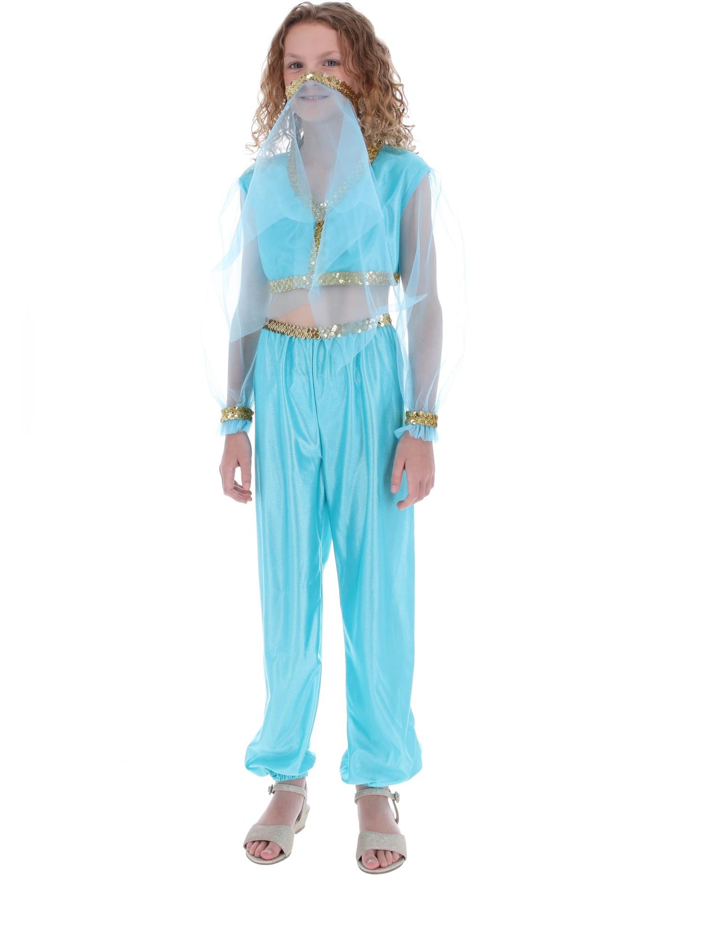 Costume de princesse arabe, comprend pantalon, haut et coiffe