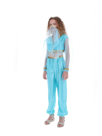 Costume de princesse arabe, comprend pantalon, haut et coiffe