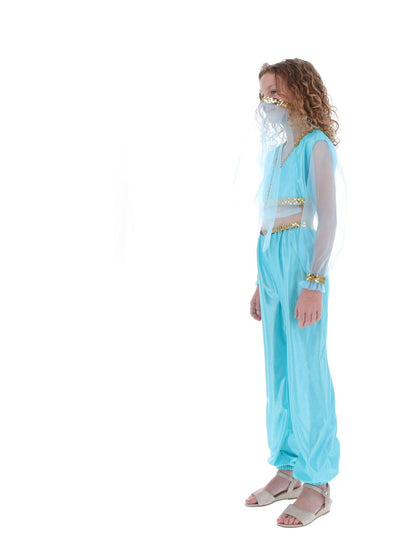 Costume de princesse arabe, comprend pantalon, haut et coiffe