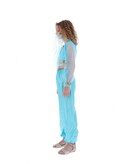 Costume de princesse arabe, comprend pantalon, haut et coiffe