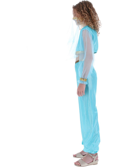 Costume de princesse arabe, comprend pantalon, haut et coiffe