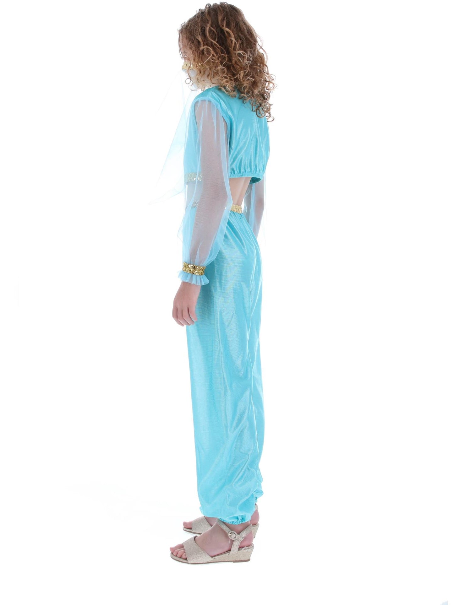 Costume de princesse arabe, comprend pantalon, haut et coiffe