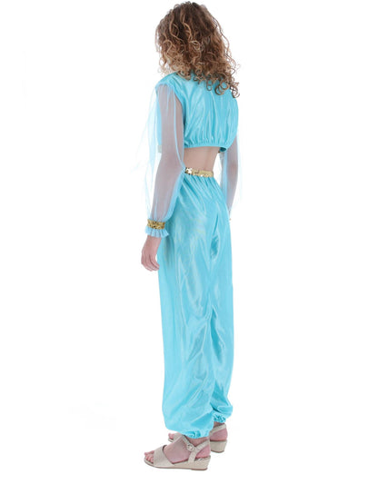 Costume de princesse arabe, comprend pantalon, haut et coiffe
