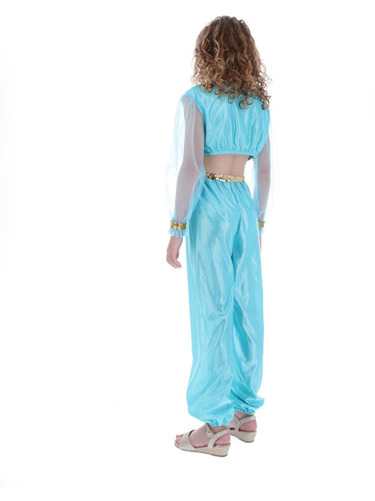 Costume de princesse arabe, comprend pantalon, haut et coiffe
