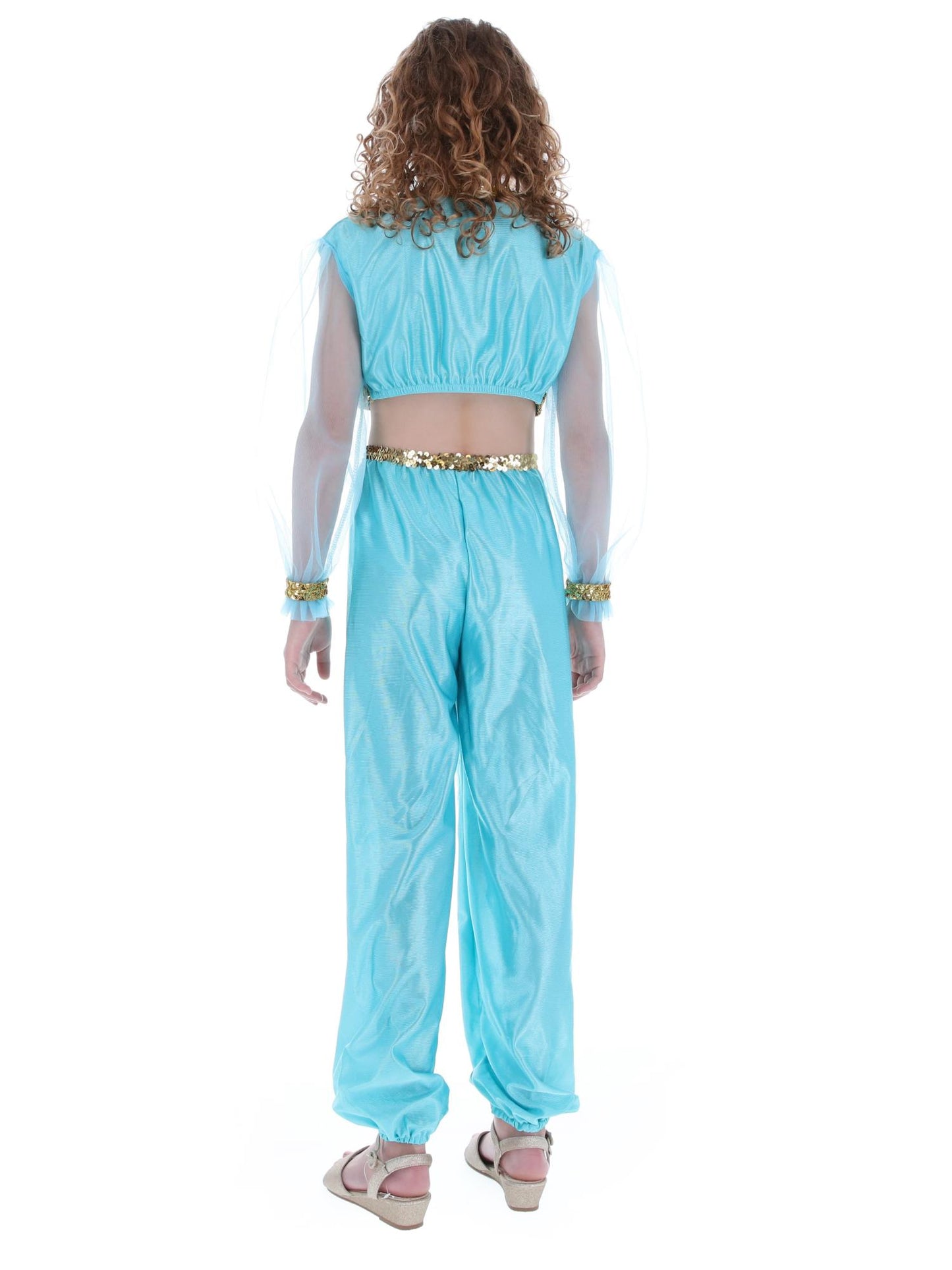 Costume de princesse arabe, comprend pantalon, haut et coiffe