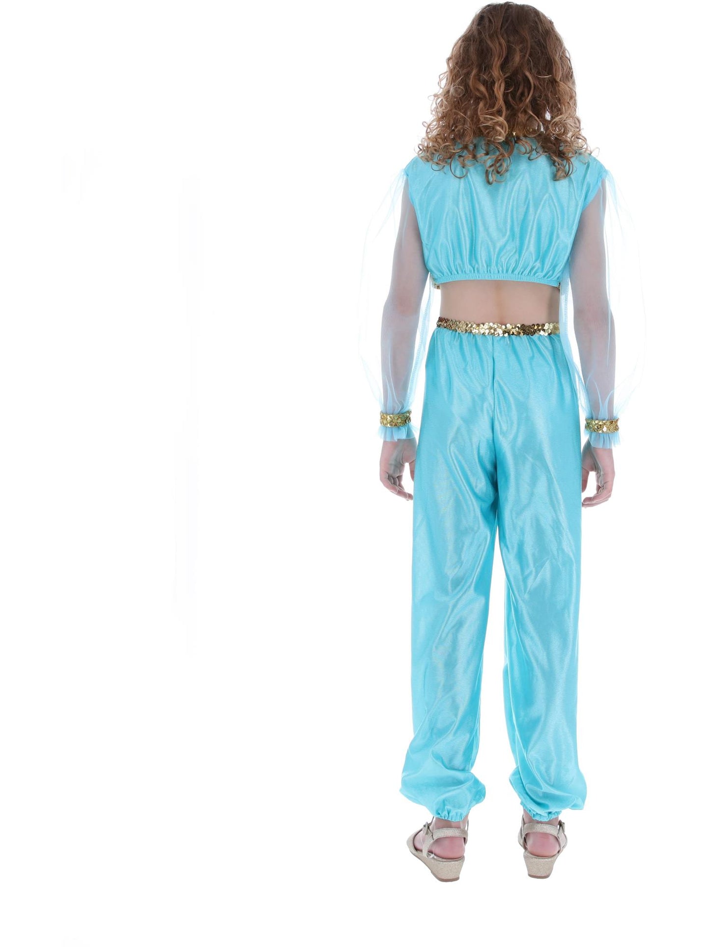 Costume de princesse arabe, comprend pantalon, haut et coiffe