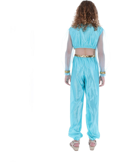 Costume de princesse arabe, comprend pantalon, haut et coiffe