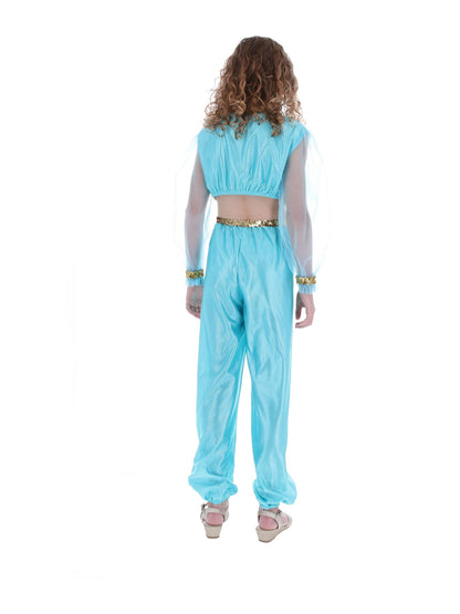 Costume de princesse arabe, comprend pantalon, haut et coiffe