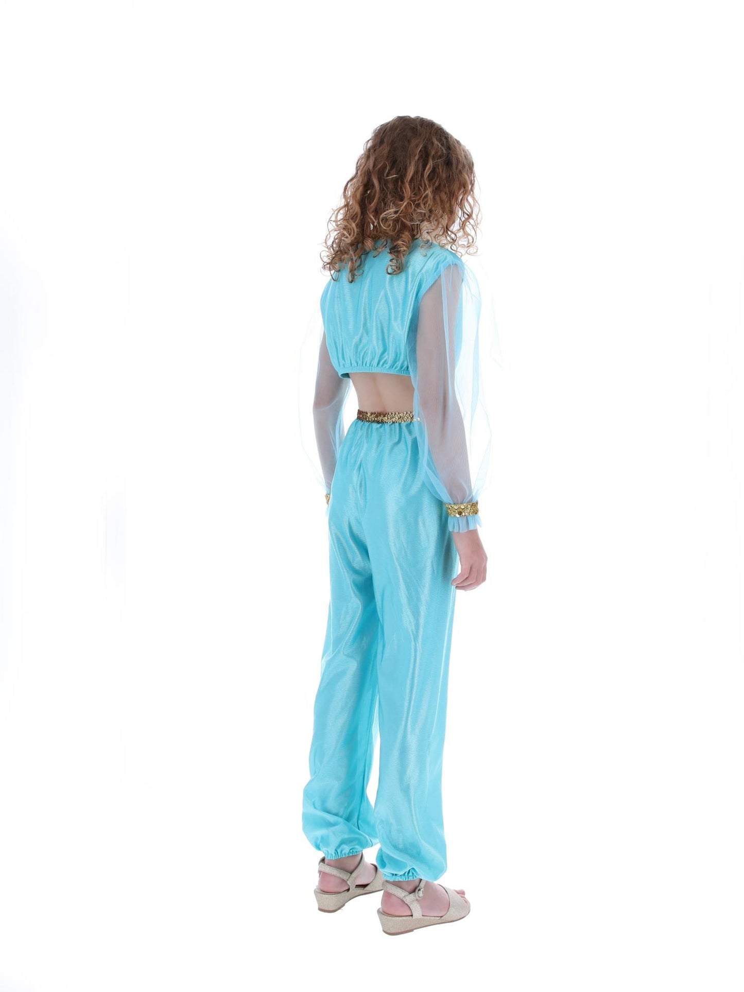 Costume de princesse arabe, comprend pantalon, haut et coiffe