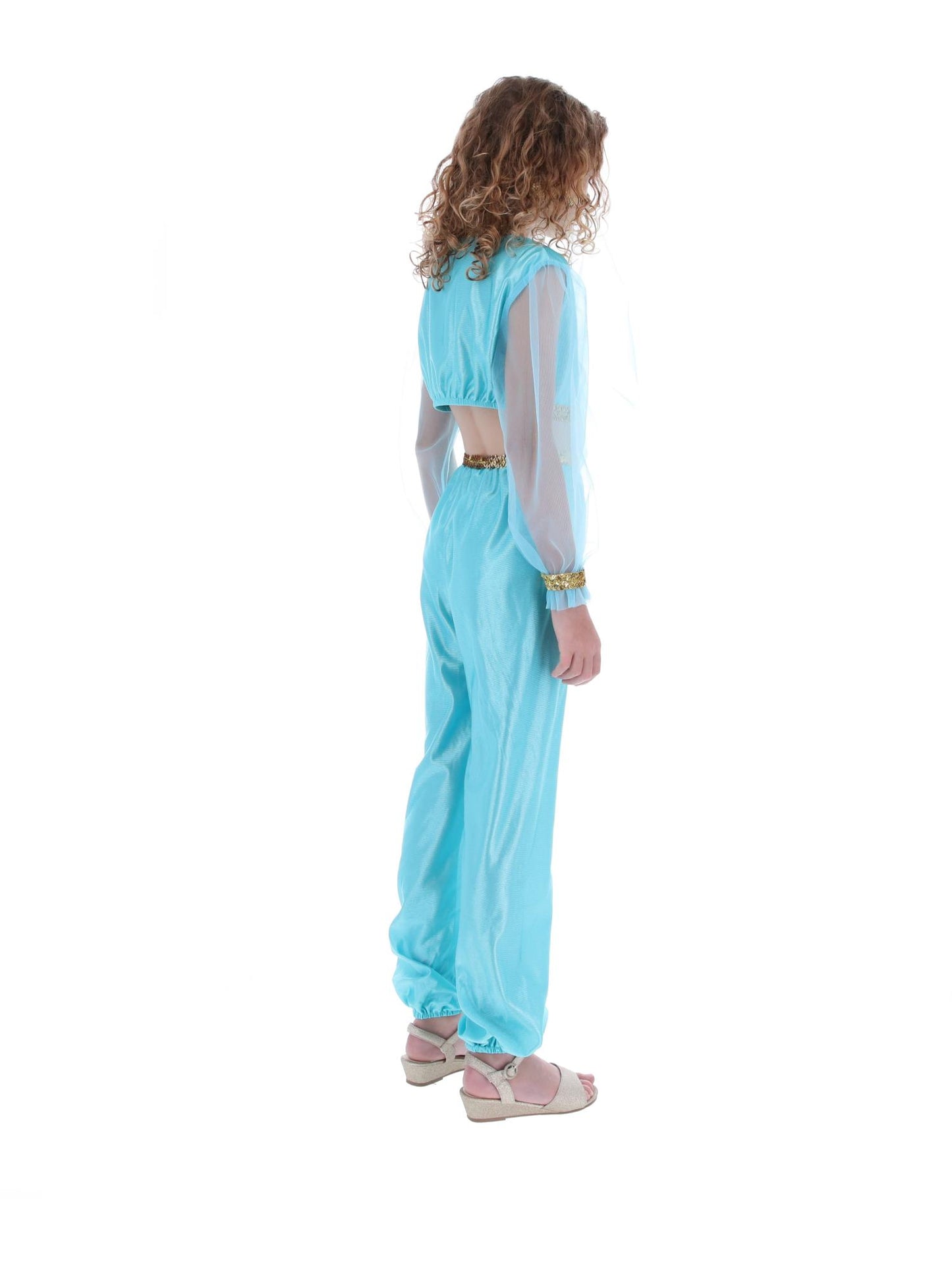 Costume de princesse arabe, comprend pantalon, haut et coiffe