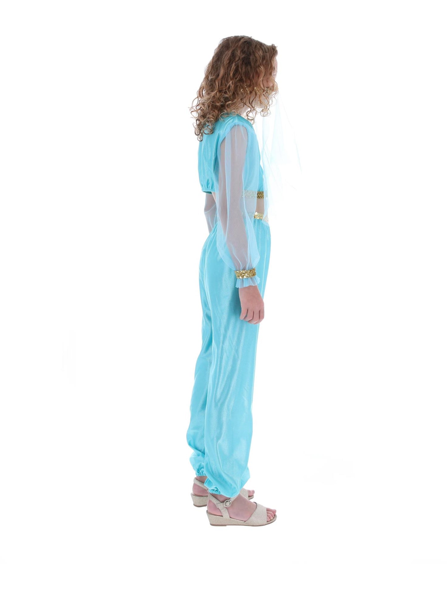 Costume de princesse arabe, comprend pantalon, haut et coiffe