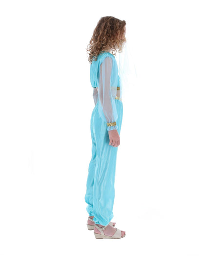 Costume de princesse arabe, comprend pantalon, haut et coiffe