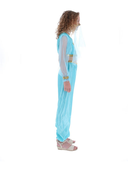 Costume de princesse arabe, comprend pantalon, haut et coiffe