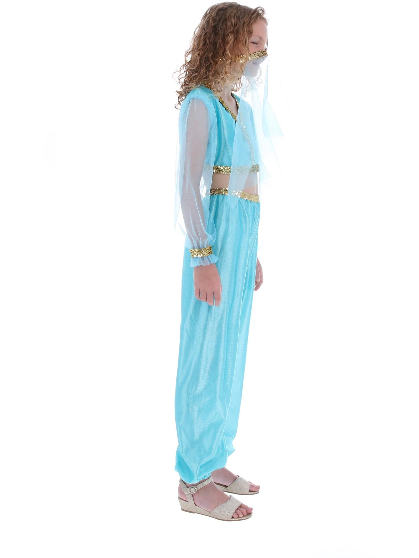 Costume de princesse arabe, comprend pantalon, haut et coiffe