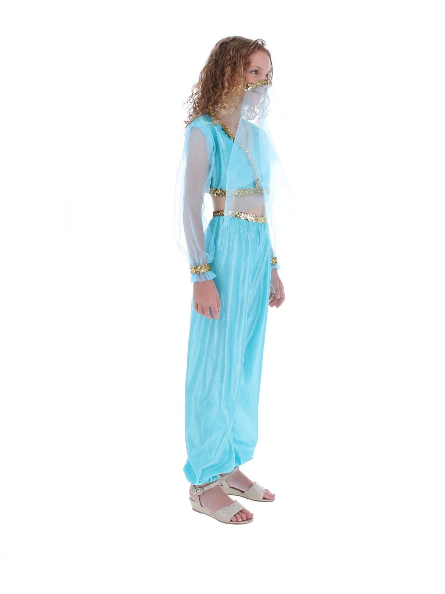 Costume de princesse arabe, comprend pantalon, haut et coiffe