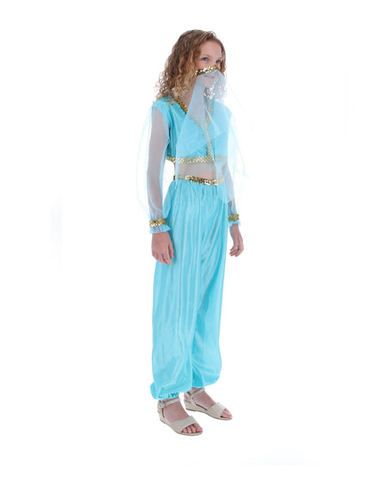 Costume de princesse arabe, comprend pantalon, haut et coiffe