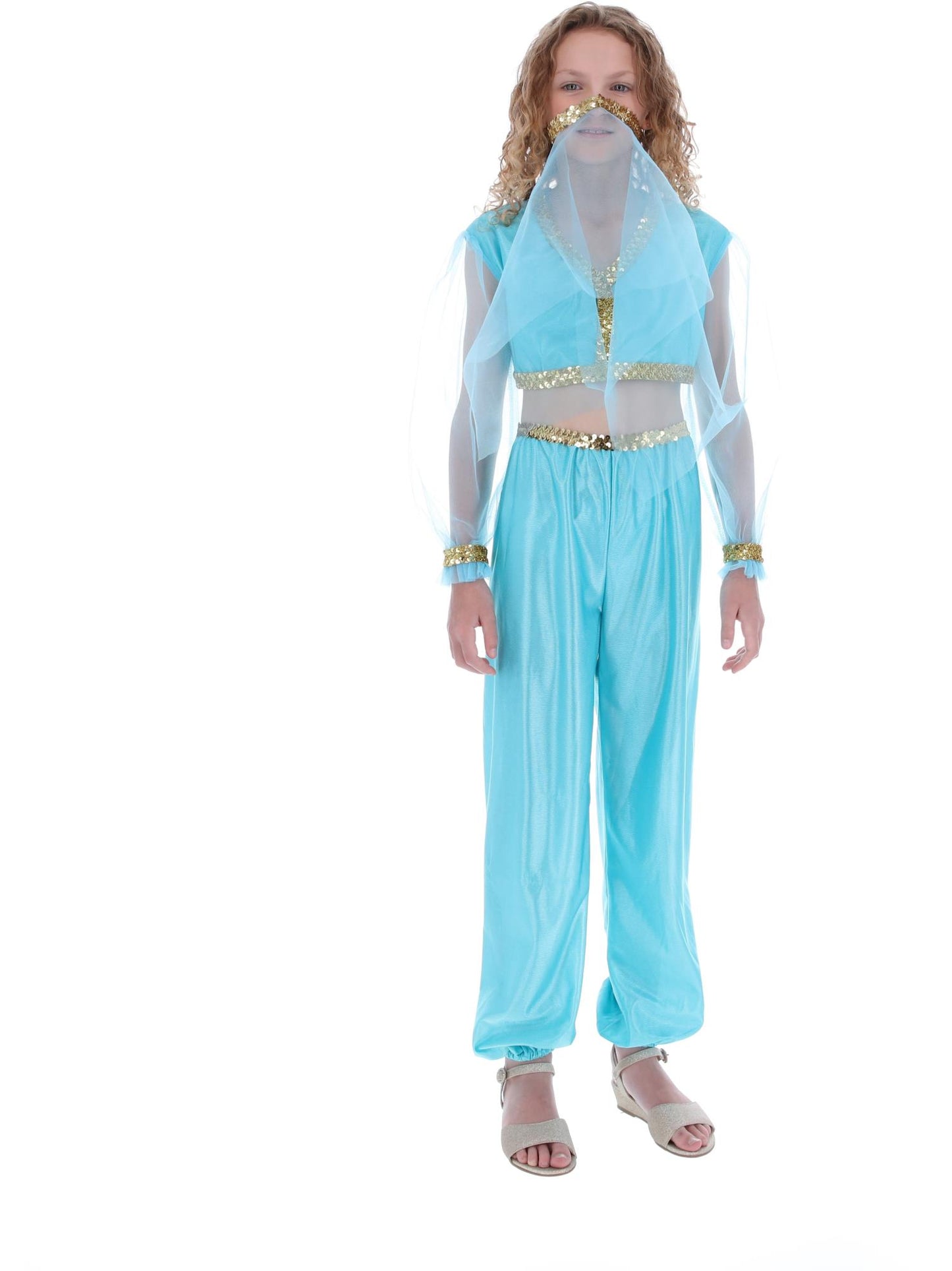 Costume de princesse arabe, comprend pantalon, haut et coiffe